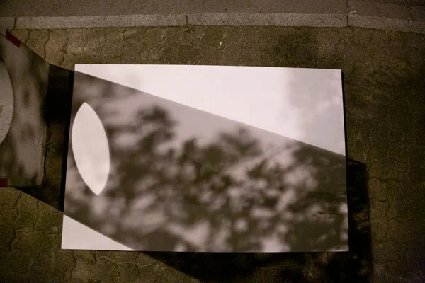 Fotografie von Schatten auf einer weissen Leinwand.